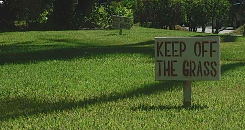 keep off grass