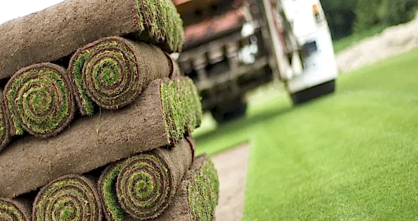 premium turf laid