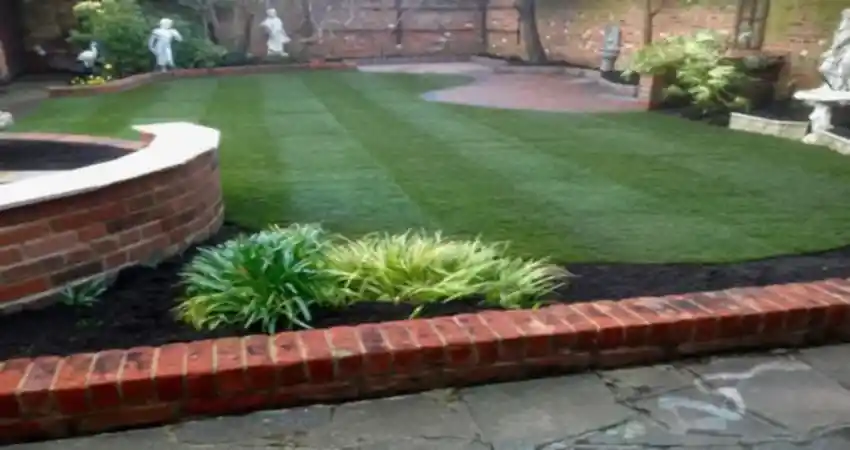 new turf