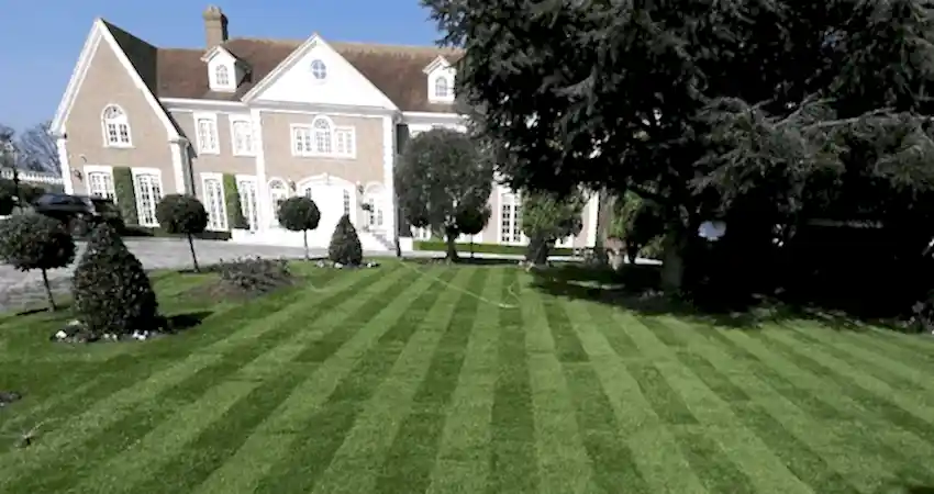 new lawn laid