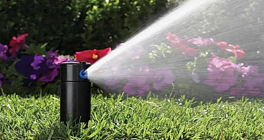 Hunter pop up irrigation